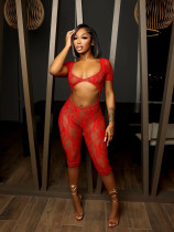 2024 Sexy Lace Big U-neck Navel-baring Jumpsuit