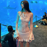 2024 Fashion Sexy Lace See-through Hip Dress