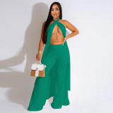 Sexy Backless Sleeveless Halterneck Top and Trousers Two-piece Set