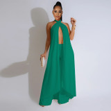 Sexy Backless Sleeveless Halterneck Top and Trousers Two-piece Set