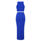 Blue Fashionable Vest High Waist Cover Hip Long Skirt Two Piece Set