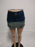 Blue Distressed Sexy Zippered Stretch Jeans Skirt