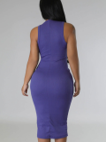 Blue Sexy Round Neck Sleeveless Tight Hip Dress