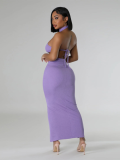 Purple Stand Collar Solid Color Waist Sleeveless Sexy Two Piece Set
