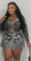 Grey Fashionable Imitation Denim Printed Mesh Jumpsuit + Skirt Set