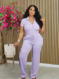 Purple Loose Pleated Breathable V-Neck Two-Piece Set