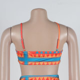 Sexy Printed Patchwork Backless Hollow Halterneck Dress
