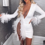 White Sexy Mesh Patchwork Feather-embellished Slim Dress