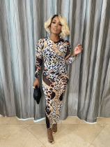 Fashion Printed Mesh See-through Printed Dress