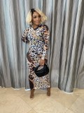 Fashion Printed Mesh See-through Printed Dress