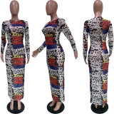 Fashion Printed Mesh See-through Printed Dress