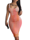 Printed Sleeveless Round Neck Fitted Dress