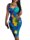 Printed Sleeveless Round Neck Fitted Dress