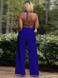 Blue Sexy Backless Lace-Up Long Top Wide-Leg Pants Fashionable Two-Piece Suit