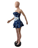 Sky Blue Tube Top Elastic Ruffle Dress