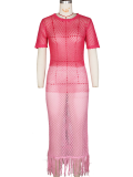 Pink Summer Sexy Knitted See-Through Tassel Beach Short Sleeve Dress