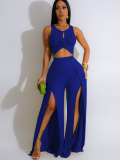 Blue Fashion Casual Vest Slit Wide-Leg Pants Two-Piece Set