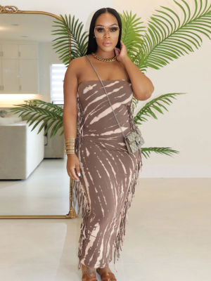 Brown Sexy Slim Fit Tassel Tube Top Long Dress