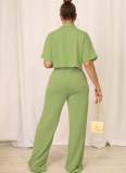 Solid Color Short-Sleeved Shirt Collar Top Casual Wide-Leg Pants Two-Piece Set