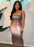 Backless Sleeveless Ombre Tube Dress