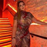 Backless Graphic Print Sheer Mesh Jumpsuit