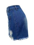 Single-breasted Paneled Slim-fit Denim Skirt