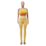 Sexy Nightclub Furry Sleeveless Suspender Two-piece Set