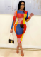 Hot Selling Mesh Printed Slim Fit Dress