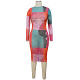 Hot Selling Mesh Printed Slim Fit Dress