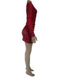 Sexy Tight Leopard Print Long Sleeve V-neck Dress