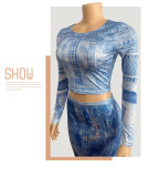 Printed Round Neck Slim Fit Hip-hugging Denim Skirt Two-piece Set