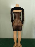 Sexy Hollow See-through Mesh High Elastic Dress