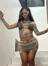 Sexy Mesh Printed Round Neck Top and Hip-hugging Skirt Suit