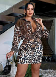 Long Sleeve Button Lapel Top Leopard Print Skirt Two-Piece Set