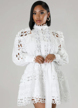 White Lace Paneled Hollow Long Top Dress