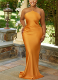 Solid Color Sleeveless Strappy Backless Long Dress