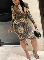 Sexy Animal Print Printed Two-Piece Dress Set