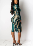 Printed Sequin Bodycon Long Sleeve Midi Dress