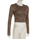 Fashion Slim Fit Elastic Leopard Print Knit Two Piece Suit