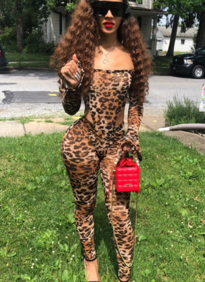 Fashion Sexy Mesh Leopard Print Bodysuit Two Piece Set