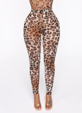 Fashion Sexy Mesh Leopard Print Bodysuit Two Piece Set