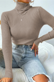 Multicolor Solid Ribbed Knit Turtleneck Sweater