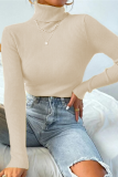 Multicolor Solid Ribbed Knit Turtleneck Sweater