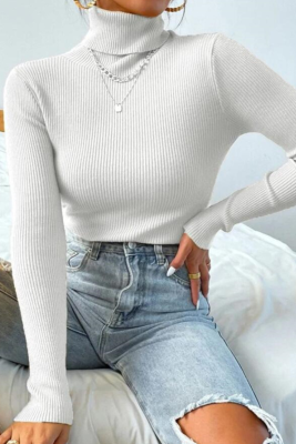 Multicolor Solid Ribbed Knit Turtleneck Sweater