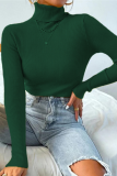 Multicolor Solid Ribbed Knit Turtleneck Sweater