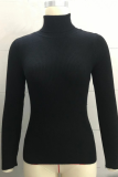 Multicolor Solid Ribbed Knit Turtleneck Sweater