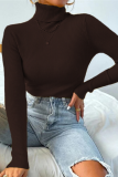 Multicolor Solid Ribbed Knit Turtleneck Sweater