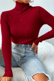 Multicolor Solid Ribbed Knit Turtleneck Sweater