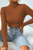 Multicolor Solid Ribbed Knit Turtleneck Sweater