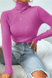 Multicolor Solid Ribbed Knit Turtleneck Sweater